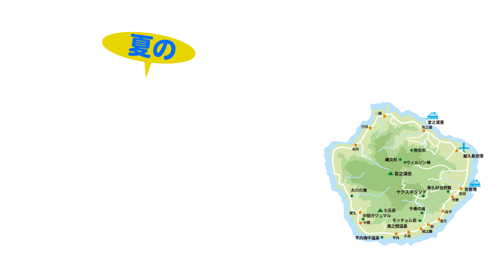 屋久島夏のオススメドライブコース